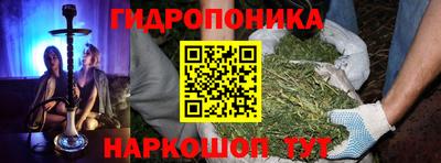 ГАЛЛЮЦИНОГЕННЫЕ ГРИБЫ Бийск