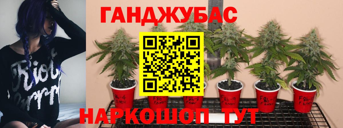 Бошки марихуана план Кизилюрт